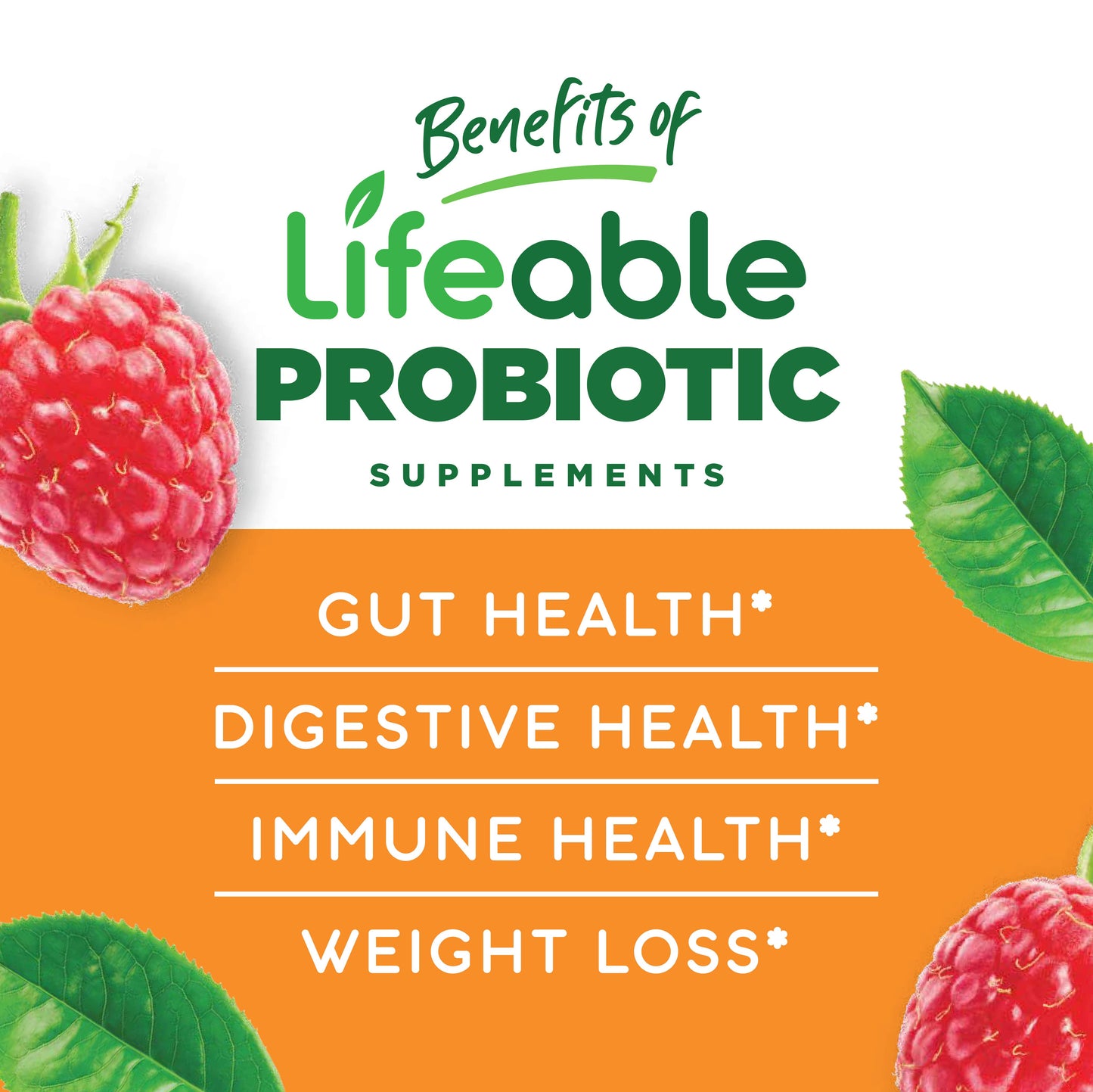 Lifeable Sugar Free Probiotics with Prebiotics Fiber Gummies: Berry Flavor / 60 Gummies